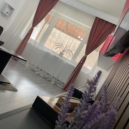 Aky Residence Slănic-Moldova Eksteriør billede