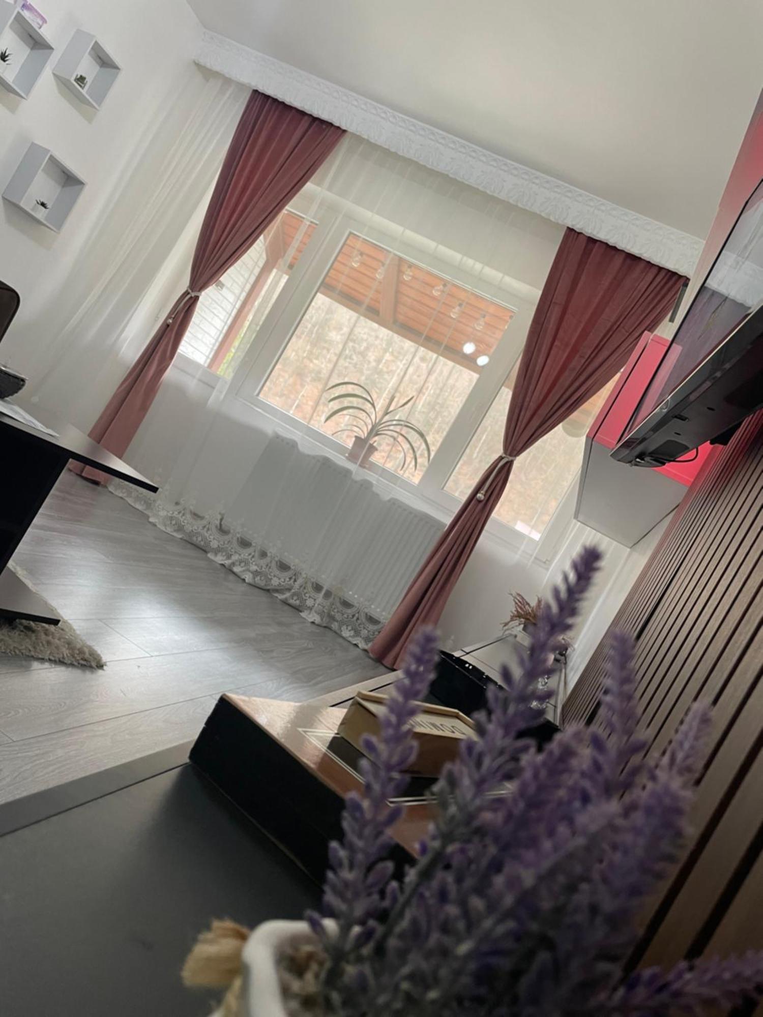 Aky Residence Slănic-Moldova Eksteriør billede